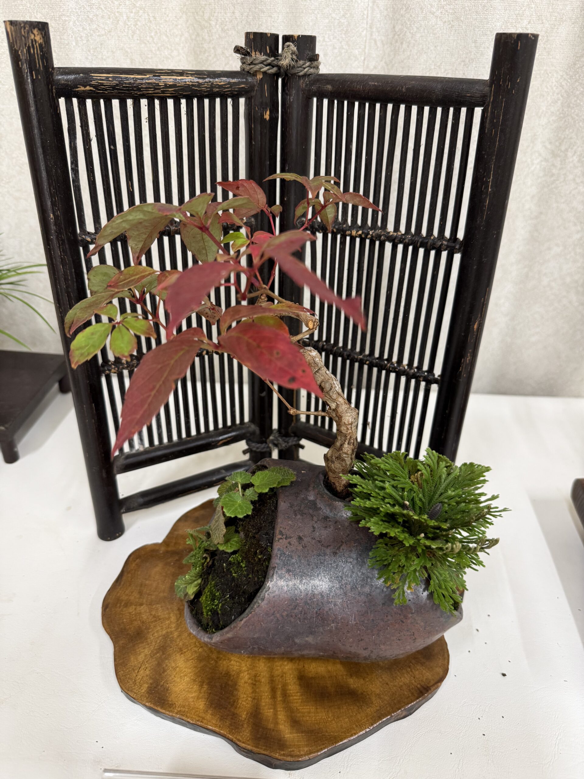 竹の衝立と赤い葉の作品
