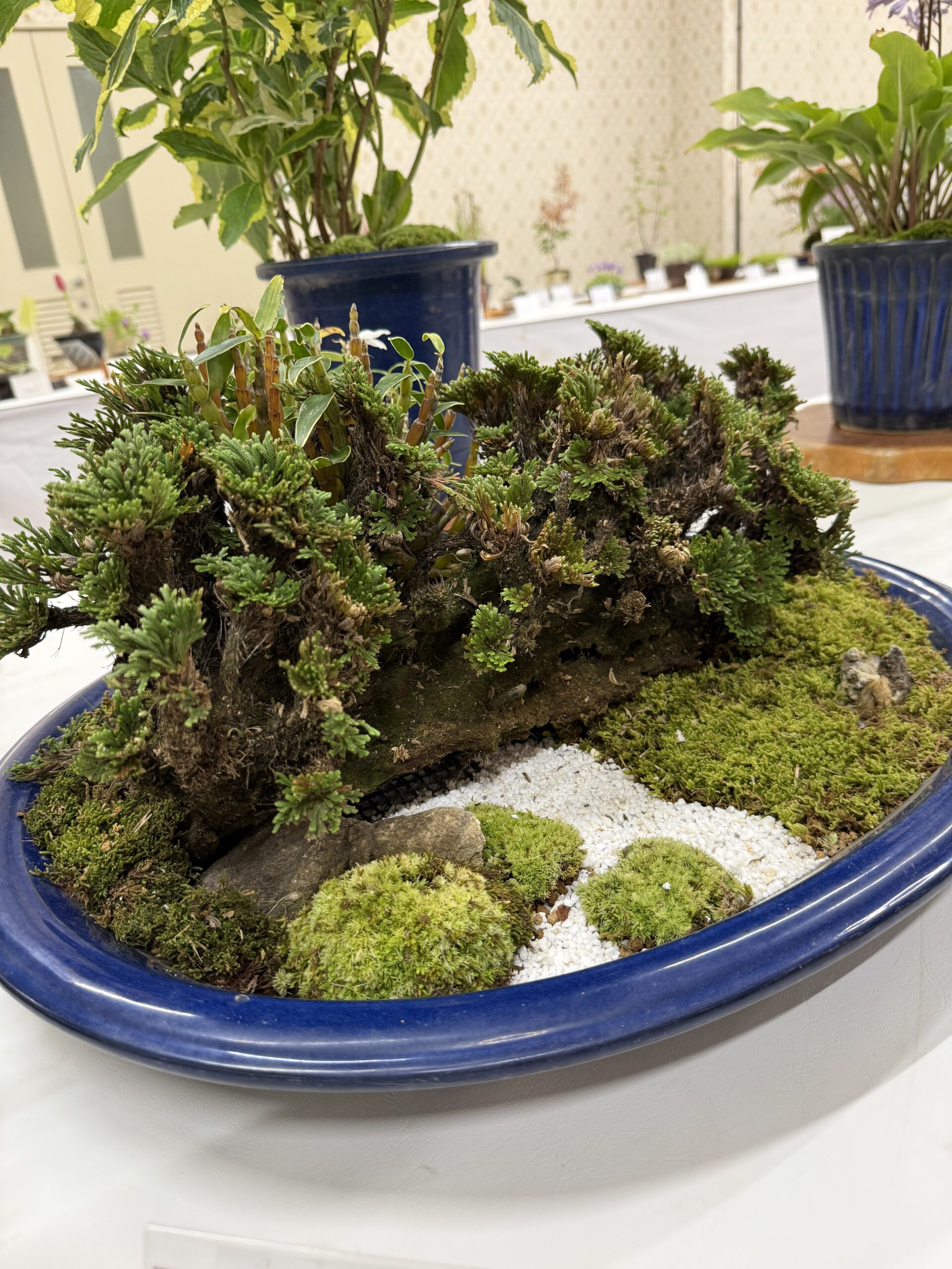 岩と苔と白砂利の作品